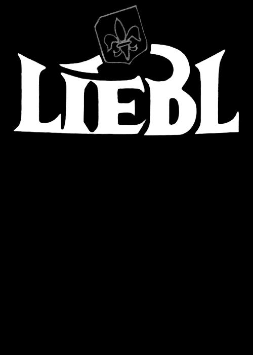 Liebl Haselnuss-Geist 40% 0,50l